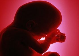 بارداری هفته به هفته (سه ماهه سوم)