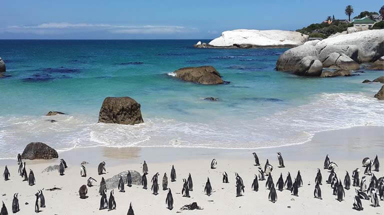زيباترين سواحل دنيا - ساحل تخته سنگ - کیپ تاون، آفریقای جنوبی